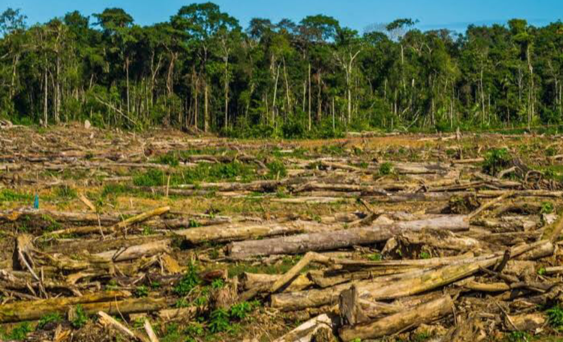  LA PROTECCIÓN DEL SUELO EN MÉXICO