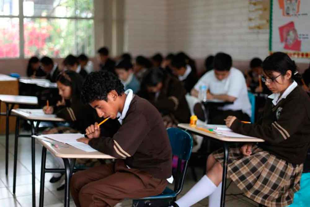  El problema en la educación básica: principio fundamental de desarrollo