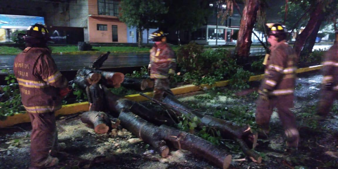  Sin novedad, el reporte por la tormenta