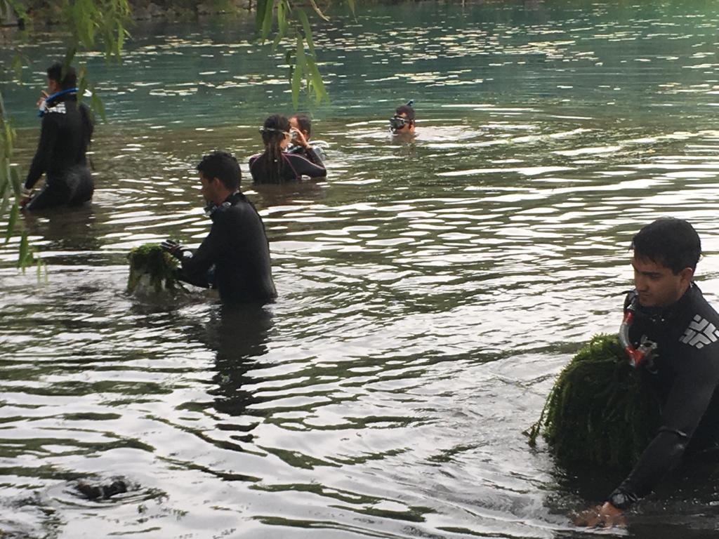  Michoacán no cederá en su lucha contra el deterioro del medio ambiente: Semaccdet