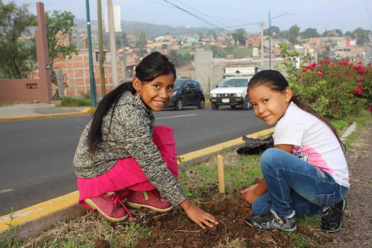  Áreas verdes urbanas, aliadas contra el cambio climático