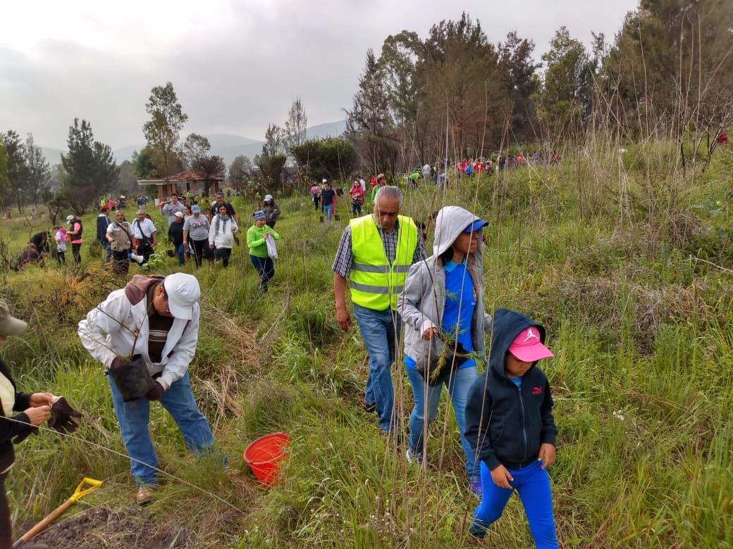  Se intensifica jornada “Morelia Te Quiero Verde” en parque ecológico Cd. Industrial