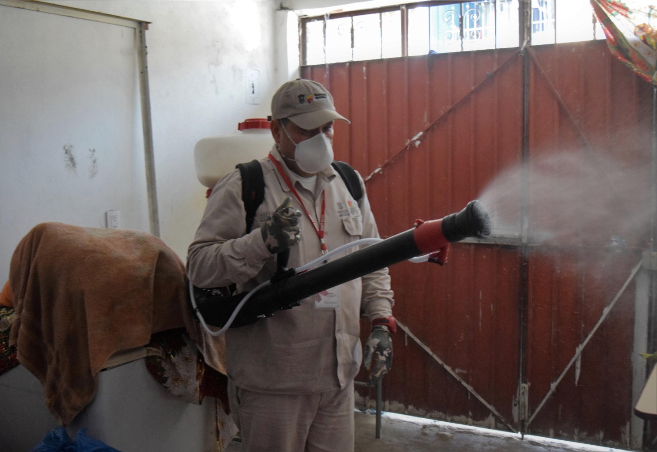  Mantiene SSM acciones vectoriales contra el mosco del dengue