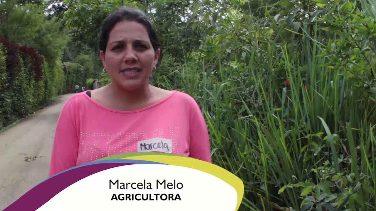  Alternativas Socioeconómicas. La planificación y las organizaciones sin fines de lucro