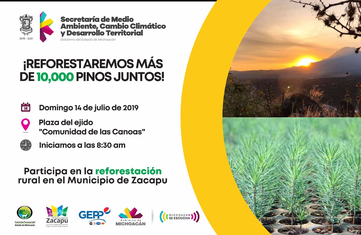 Más de 10 mil pinos sembrará la Semaccdet en Zacapu