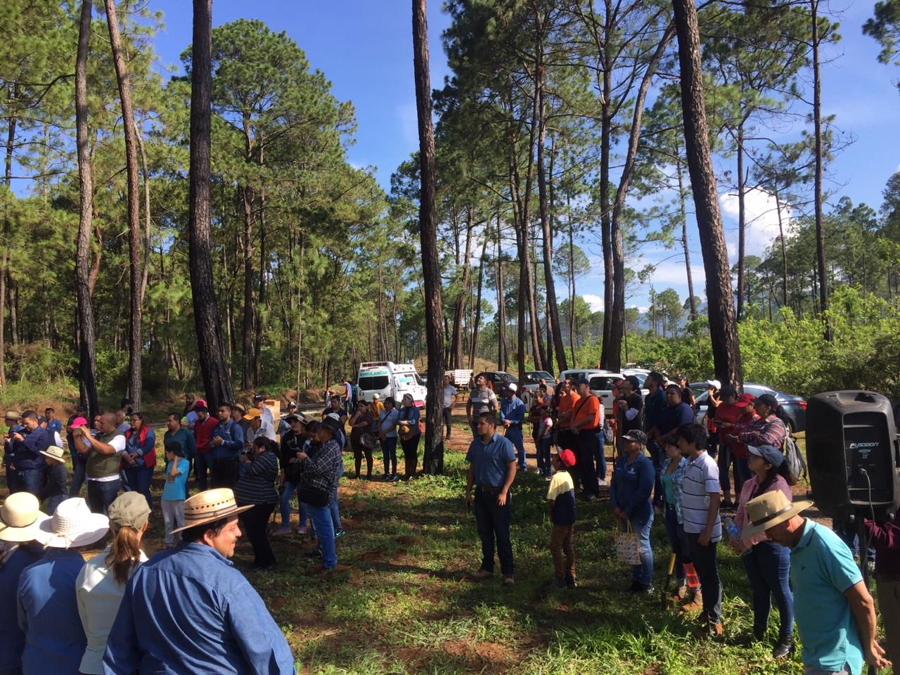  Recupera Semaccdet predio La Noria, afectado por incendios forestales