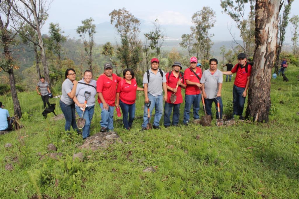  Programa “Morelia te quiero verde” continúa con restitución del ambiente
