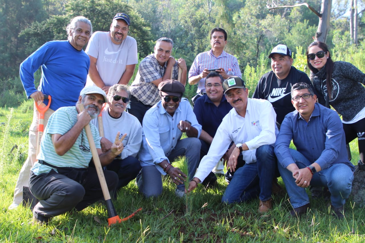 Reforestación, la medida más eficaz para impulsar la restauración ecológica de los bosques