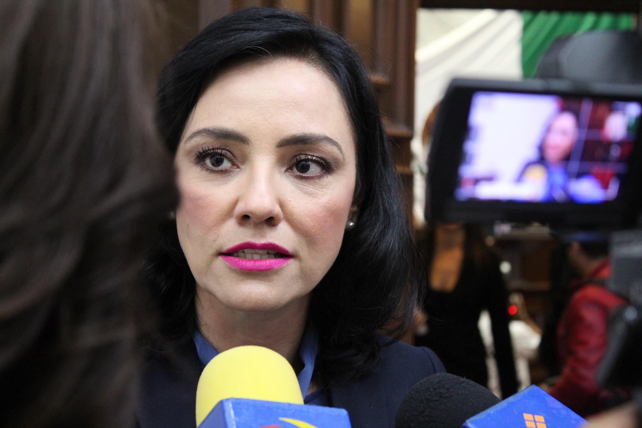  Con Alejandro Moreno se respetarán las decisiones en Michoacán