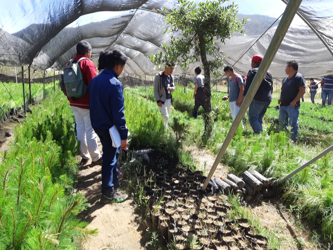  En nuevo ciclo lectivo, Cobaem reforzará acciones del programa Ecobaem