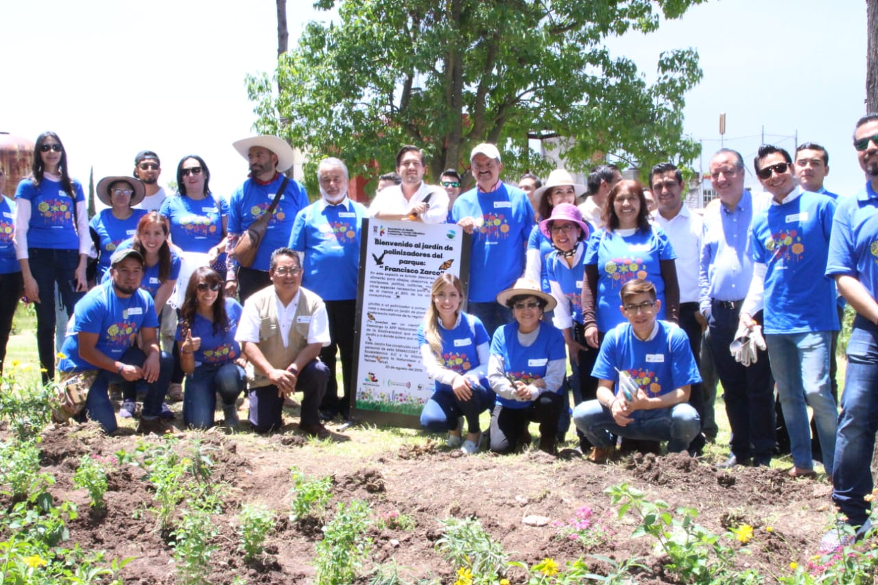  Jardines para Polinizadores, refugio y alimentación en zonas urbanas: Semaccdet