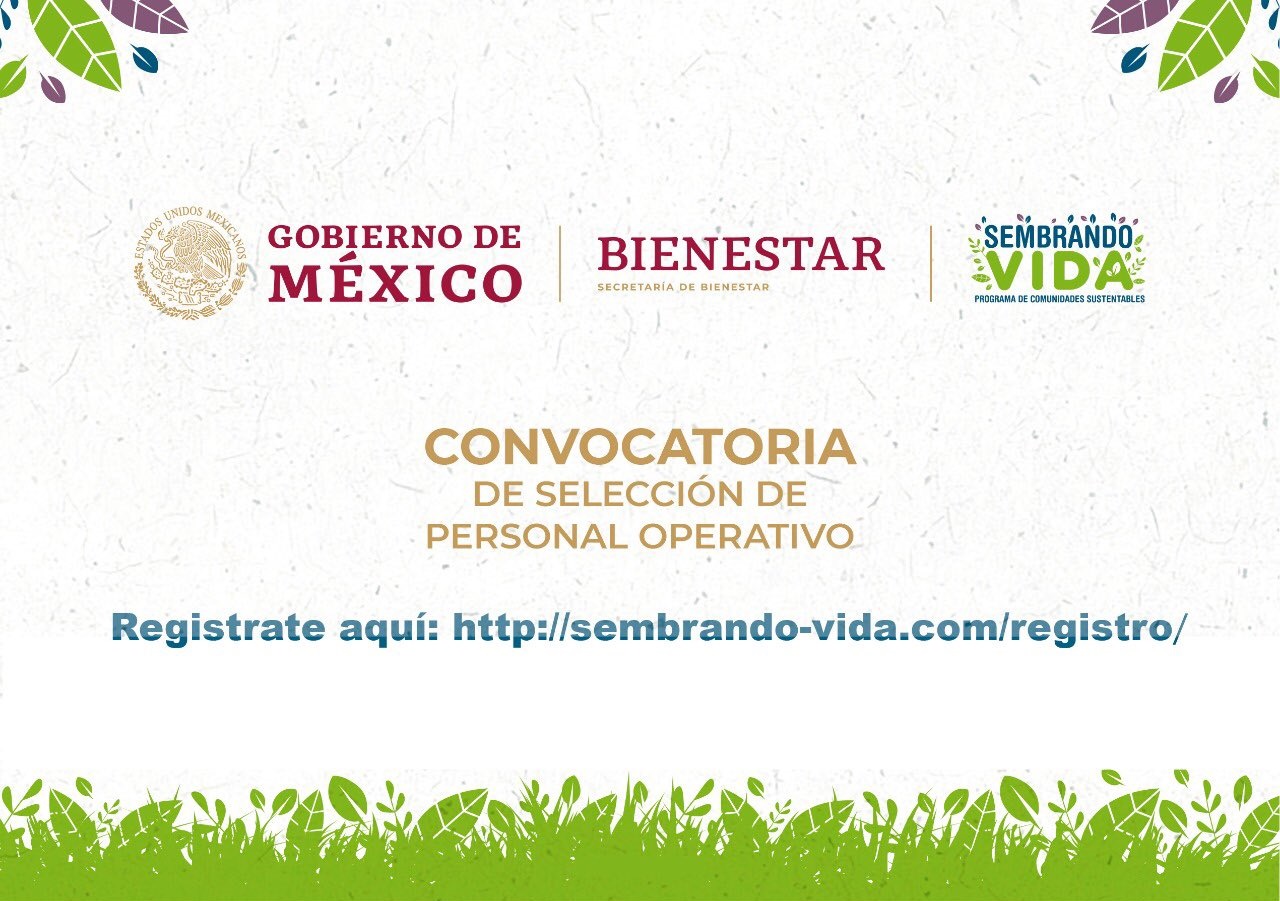  Emite Bienestar convocatoria para “Sembrando Vida” en Michoacán