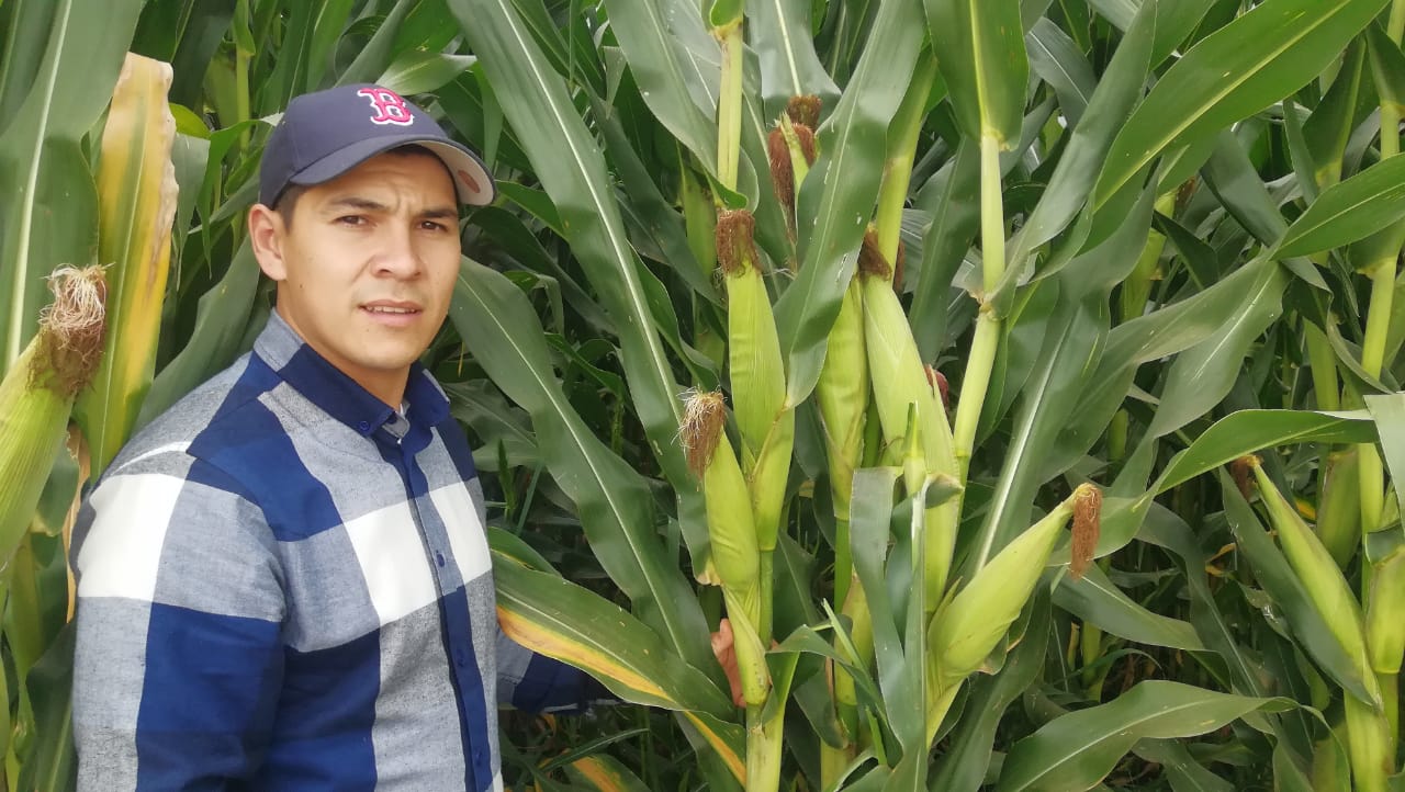  Agricultura Sustentable, la gran revolución del campo michoacano