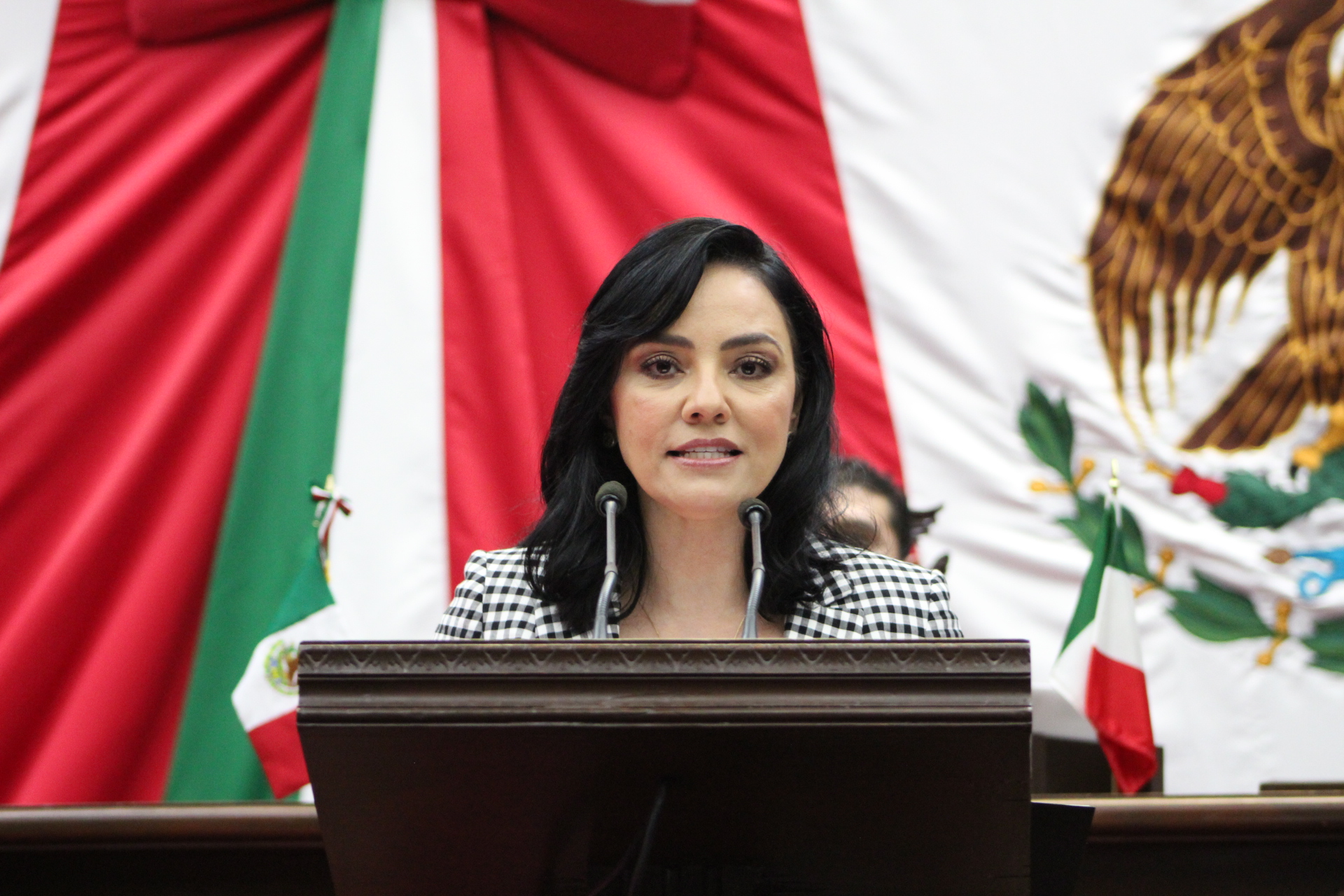  Las leyes deben garantizar libertades, división de poderes y respeto: Adriana Hernández