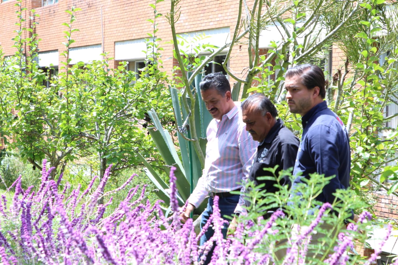 Michoacán y Nayarit, en alianza a favor de los recursos forestales