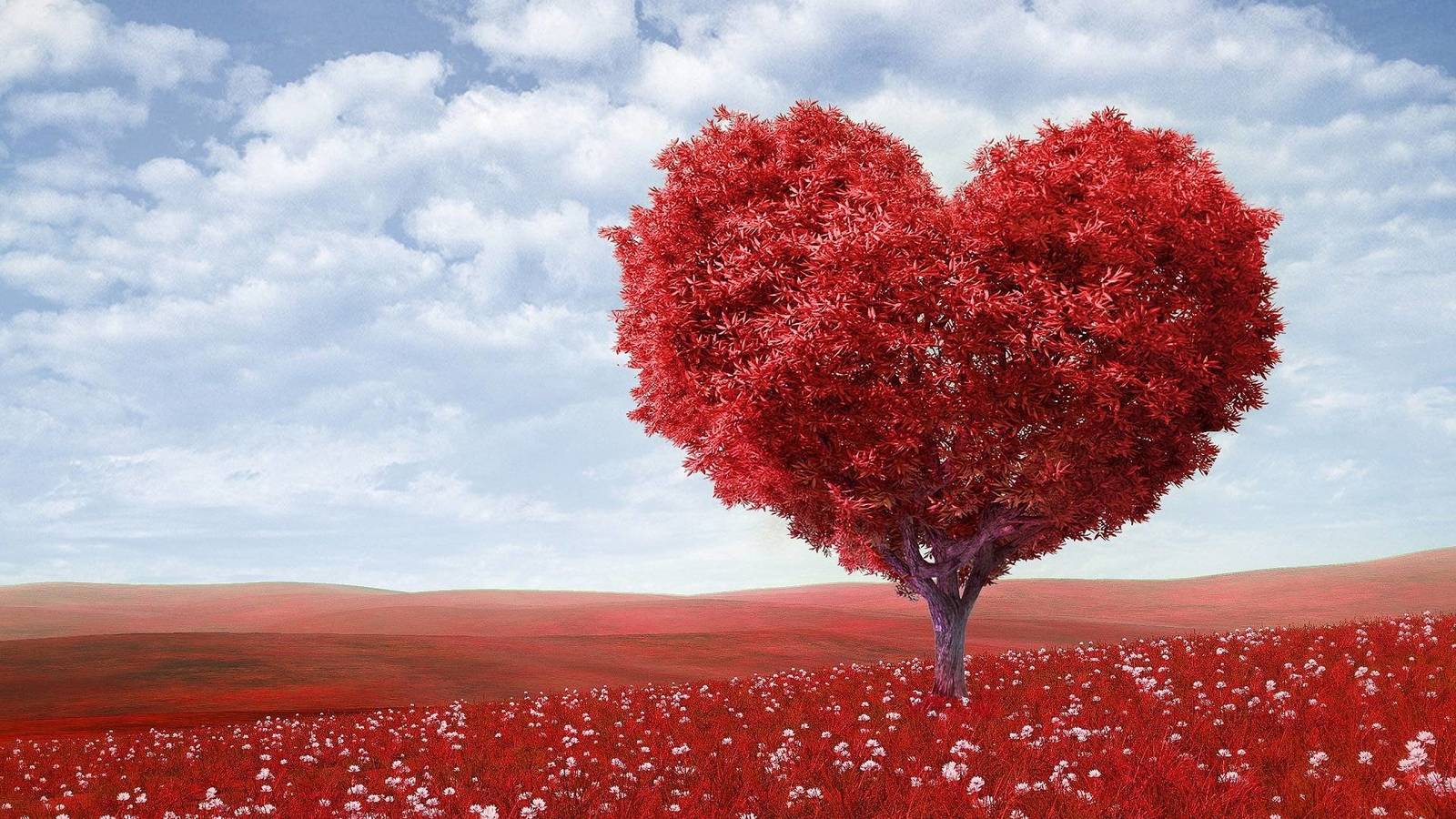  Reflexiones sobre el amor