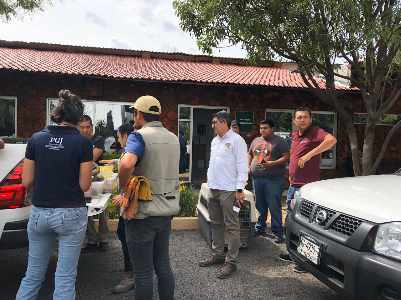  Atiende Zoo de Morelia a ejemplares rescatados de veterinaria denunciada por maltrato animal