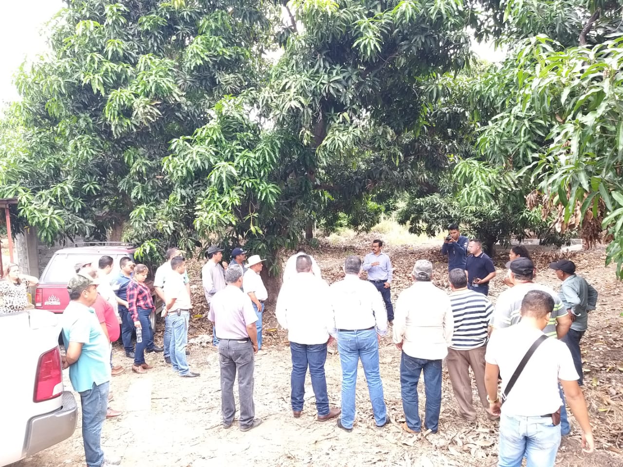 Trigo, alfalfa y cártamo, al Programa de Agricultura sustentable: Sedrua
