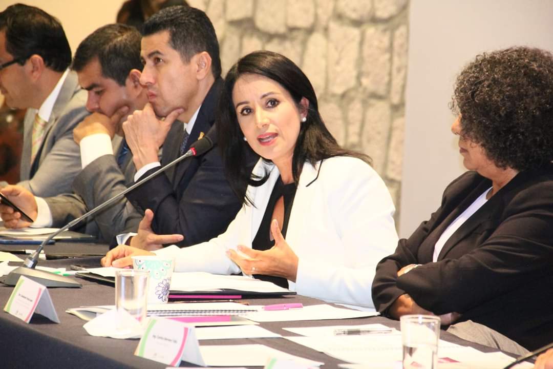  Congreso del Estado comprometido con la protección de las mujeres: Lucila Martínez