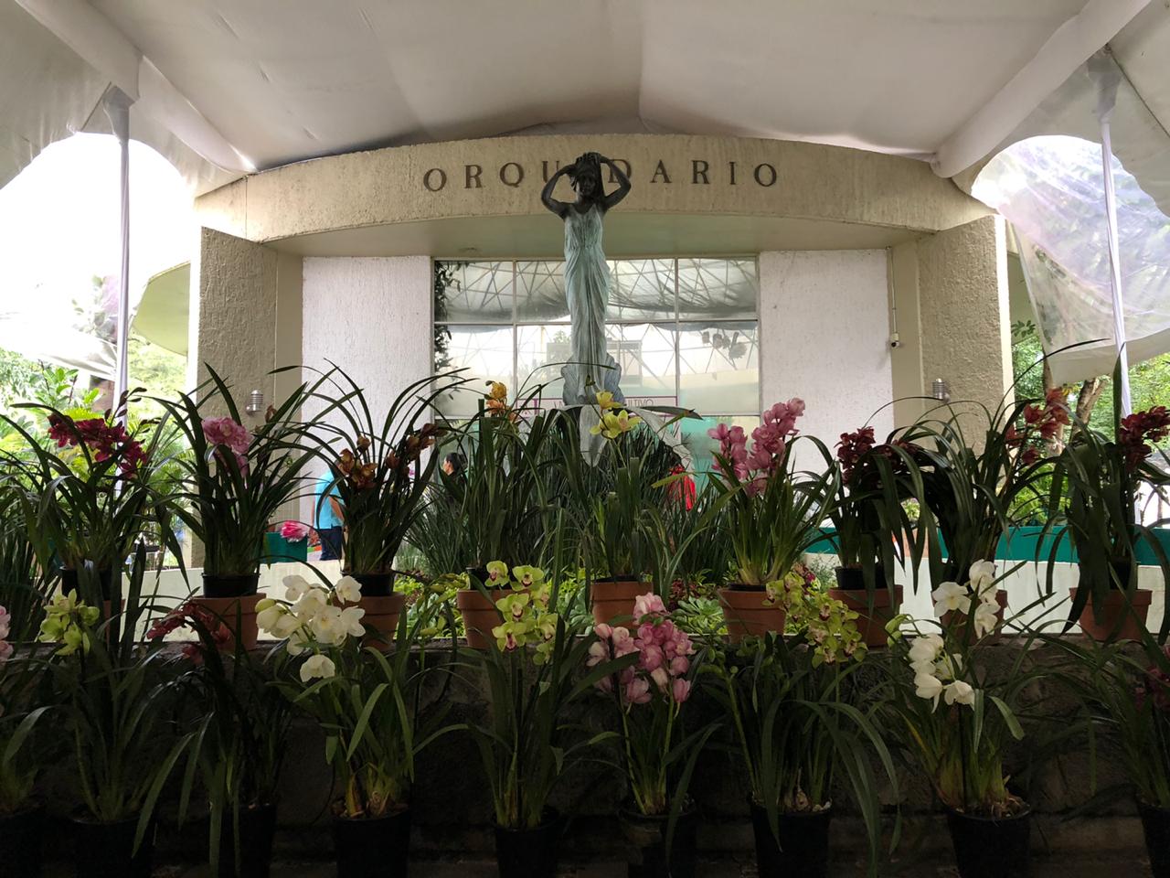 Inaugura Ceconexpo Expo Orquídea Otoñal 2019
