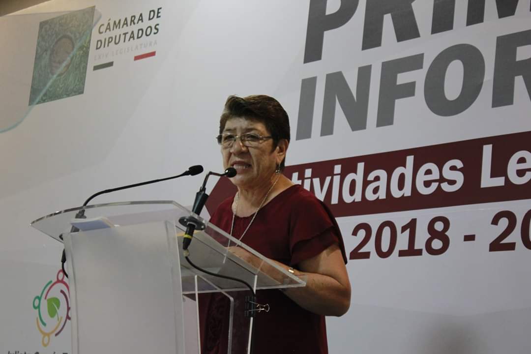  Presenta la diputada Teresa López, su informe de actividades legislativas