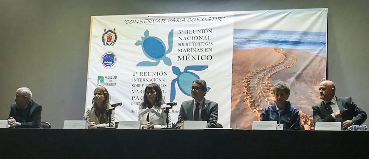 Cambio climático y contaminación afectan poblaciones de las tortugas marinas laúd, carey y lora
