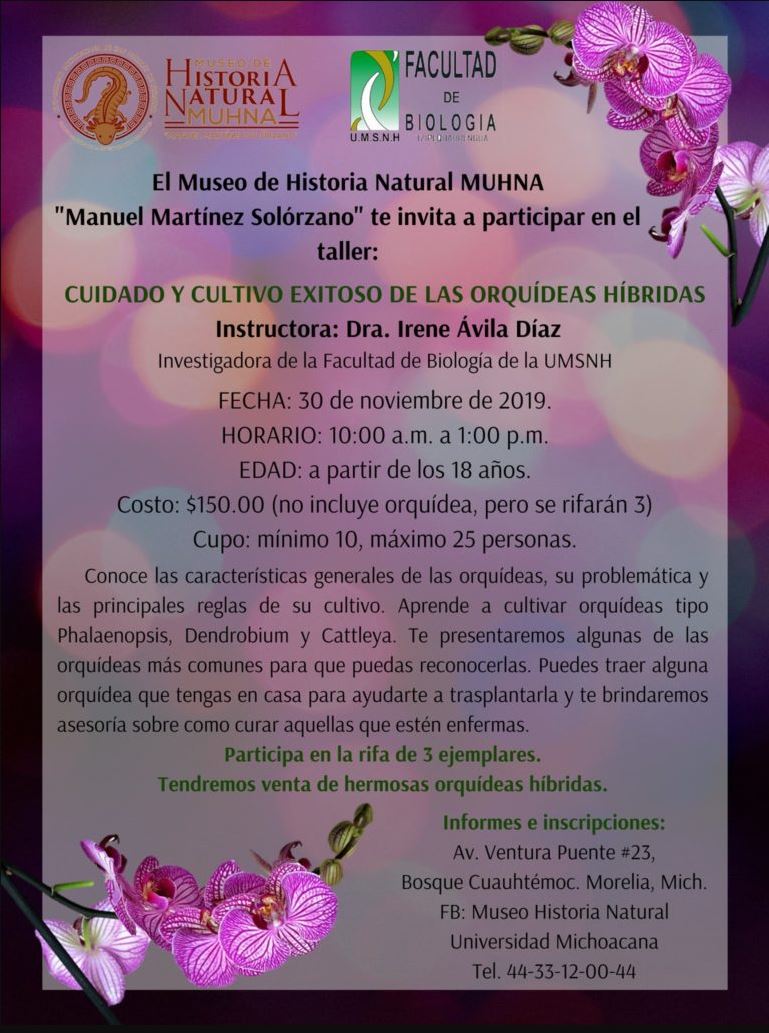  Museo de Historia Natural ofrece taller sobre el cuidado y cultivo de orquídeas