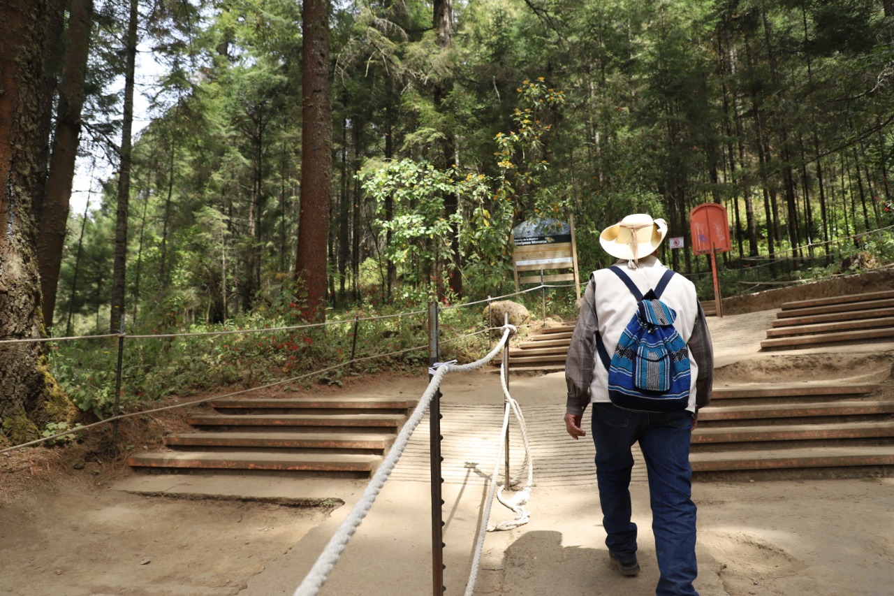 Con pago de servicios ambientales hídricos, preservan productores bosques del Oriente