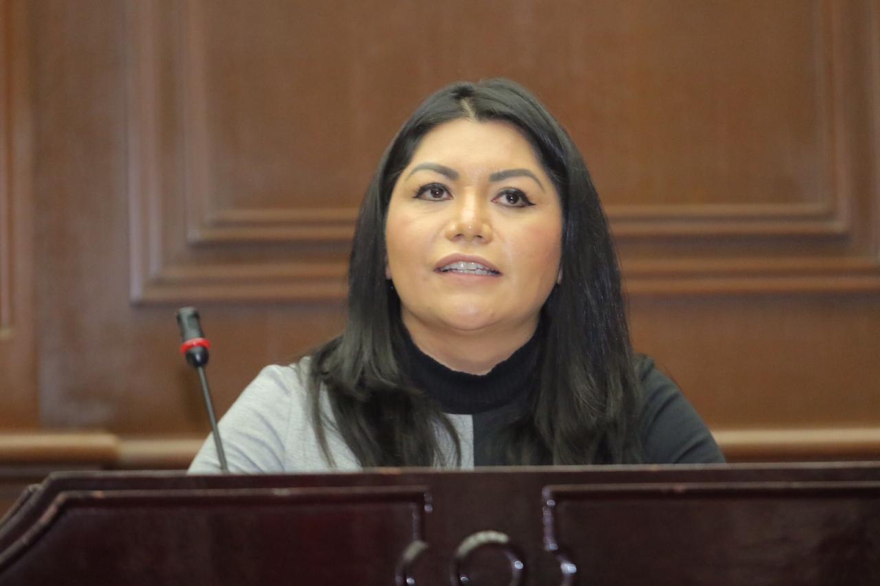  La Declaratoria de la Alerta de Violencia Género no ha funcionado en Michoacán: Brenda Fraga
