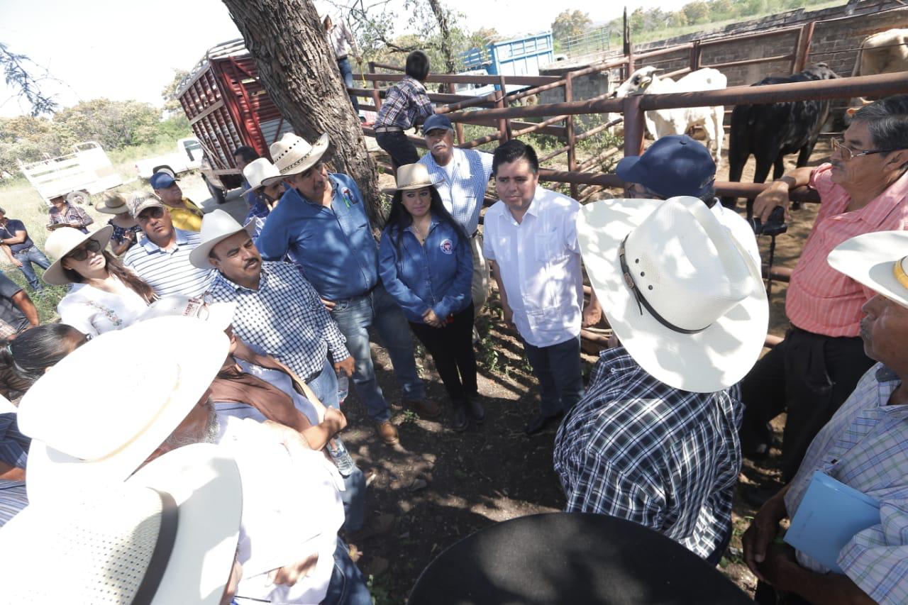 Federación entrega más Créditos Ganadero a la Palabra en Michoacán