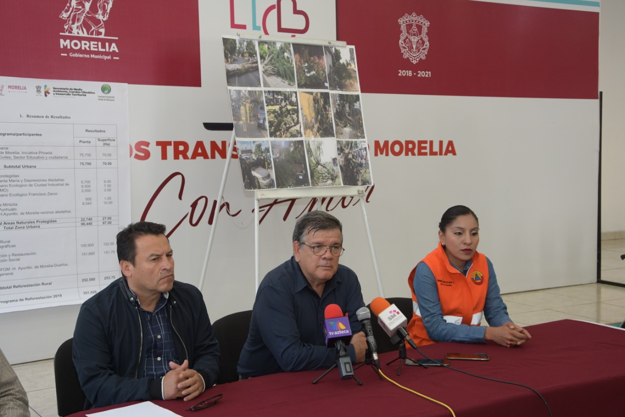  Gobierno de Morelia derribará árboles que representan un riesgo para la ciudadanía