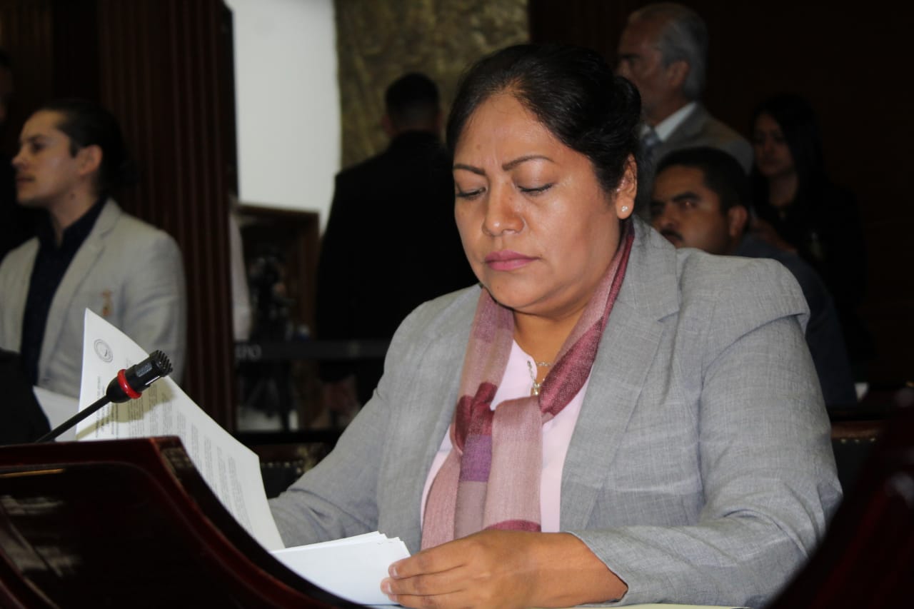  Fuerzas policiacas requieren mejores condiciones para su labor: Zenaida Salvador