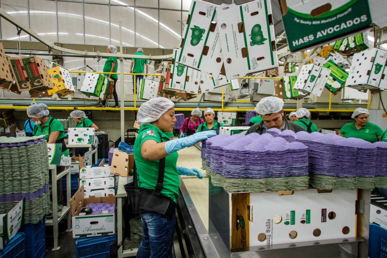  Destaca Gobernador crecimiento en generación de empleos en Michoacán