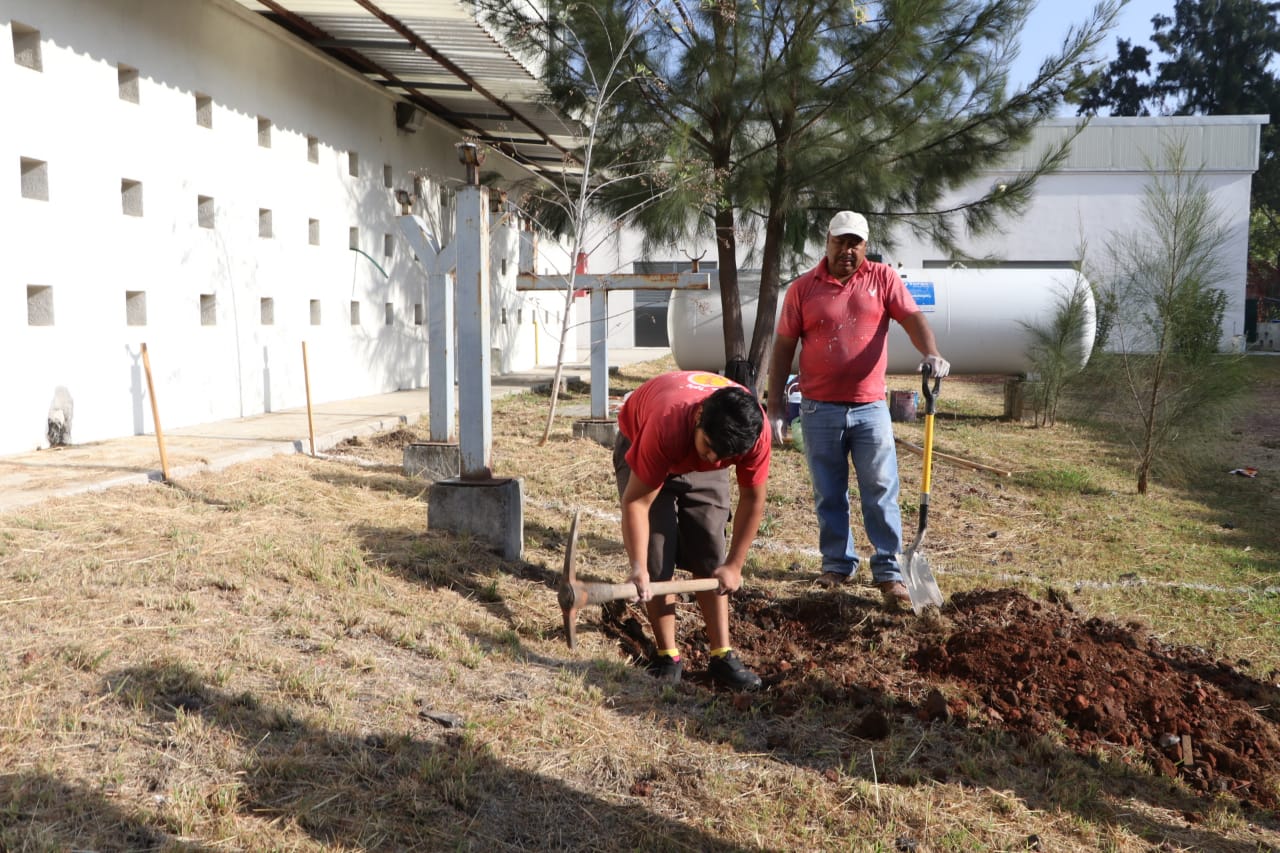 Arrancan trabajos de modernización de alberca olímpica INDECO