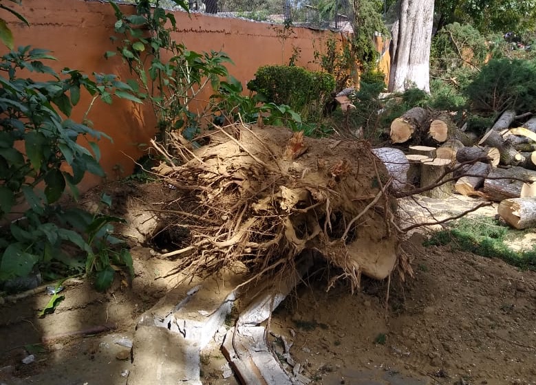  Revisa SEE condiciones en planteles educativos por contingencia ambiental