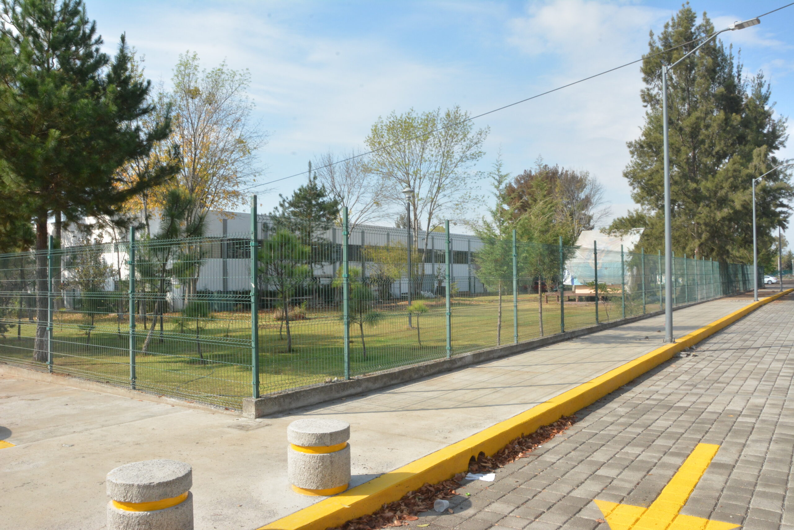  Cierra convocatoria para Doctorado en Tecnología de la Madera