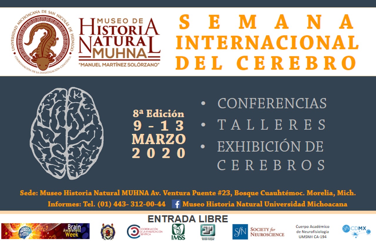  UMSNH celebrará Semana Internacional del Cerebro 2020