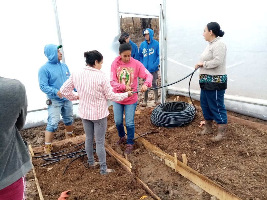 Gobierno de Morelia apoya a mezcaleros con construcción de invernaderos