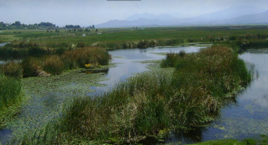 Alerta Inirena sobre la pérdida de agua del lago de Pátzcuaro