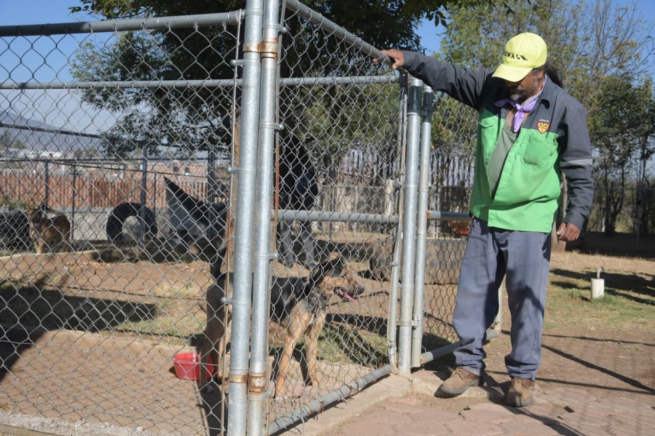  Centro de Atención Animal con apertura a la ciudadanía