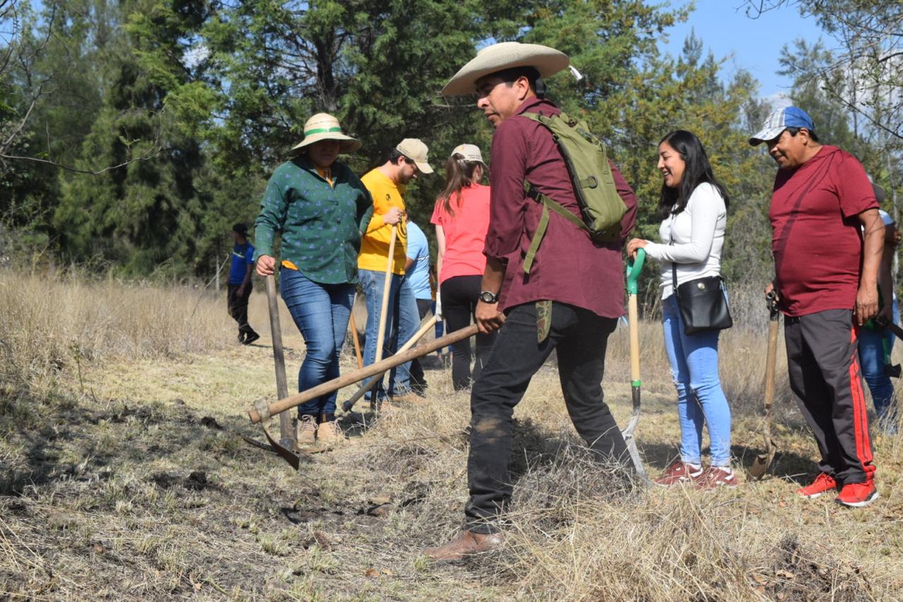  Intensifican jornadas de prevención de incendios forestales: Cofom
