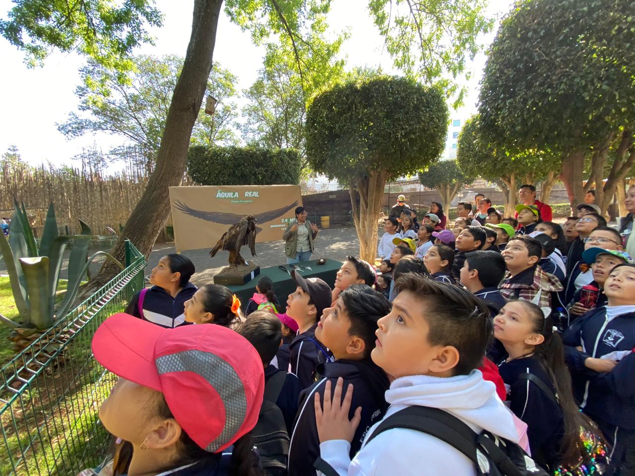  Celebra Zoológico de Morelia el día nacional del águila real
