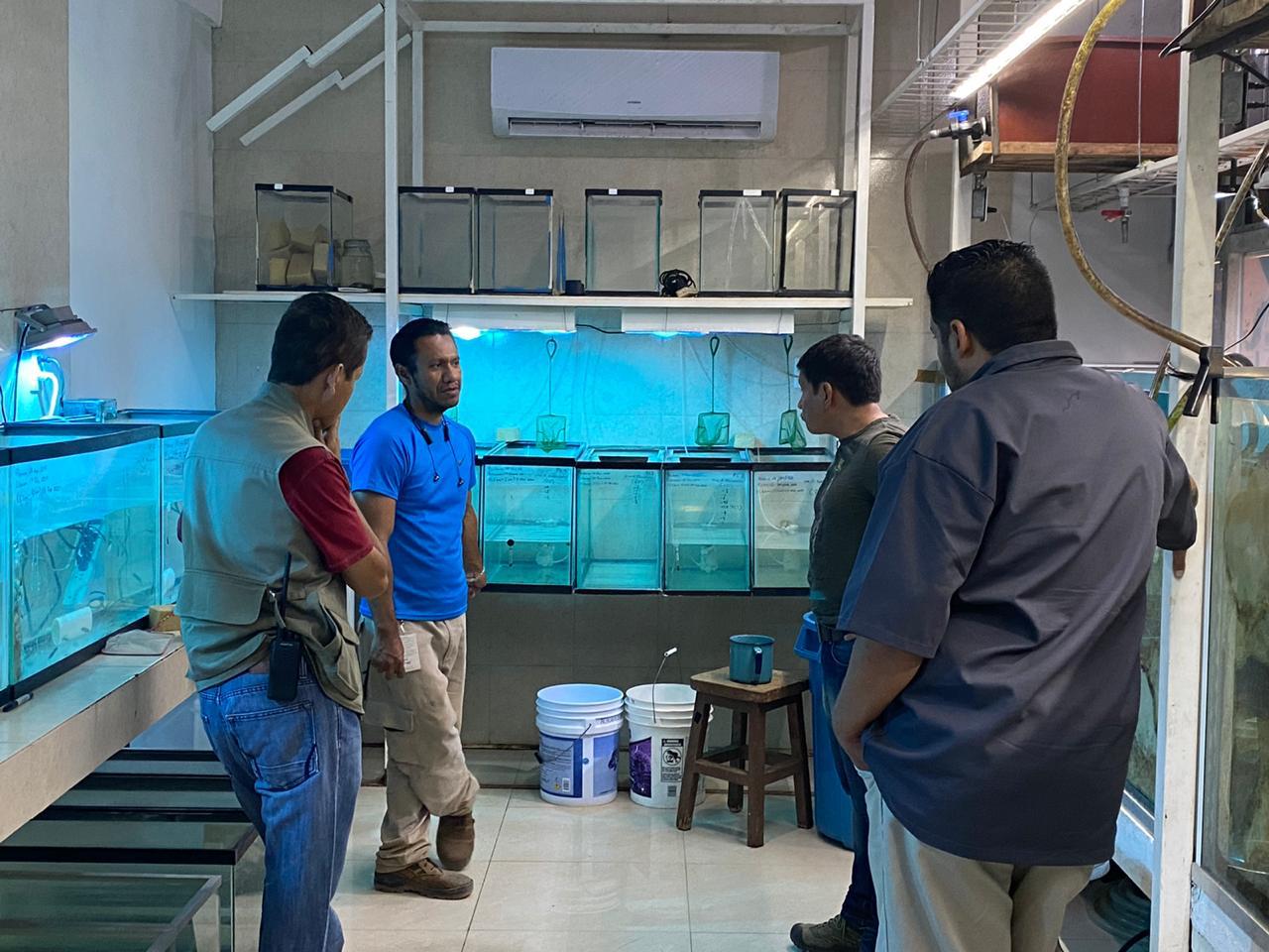 Dona Zoológico de Morelia a la UAM lote de achoques michoacanos