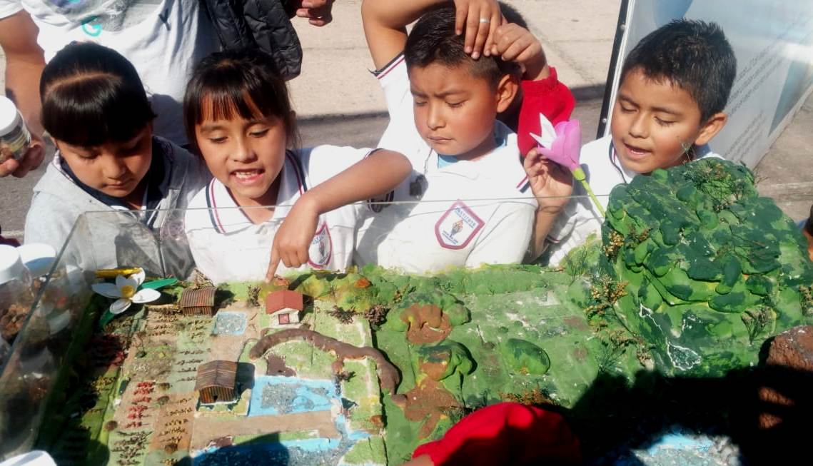  Con video, busca la CEAC alertar sobre daño al medio ambiente