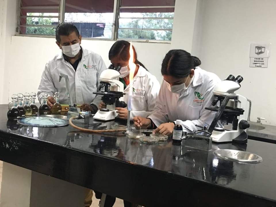  Destaca talento femenino del CECyTEM en concursos de Ciencias