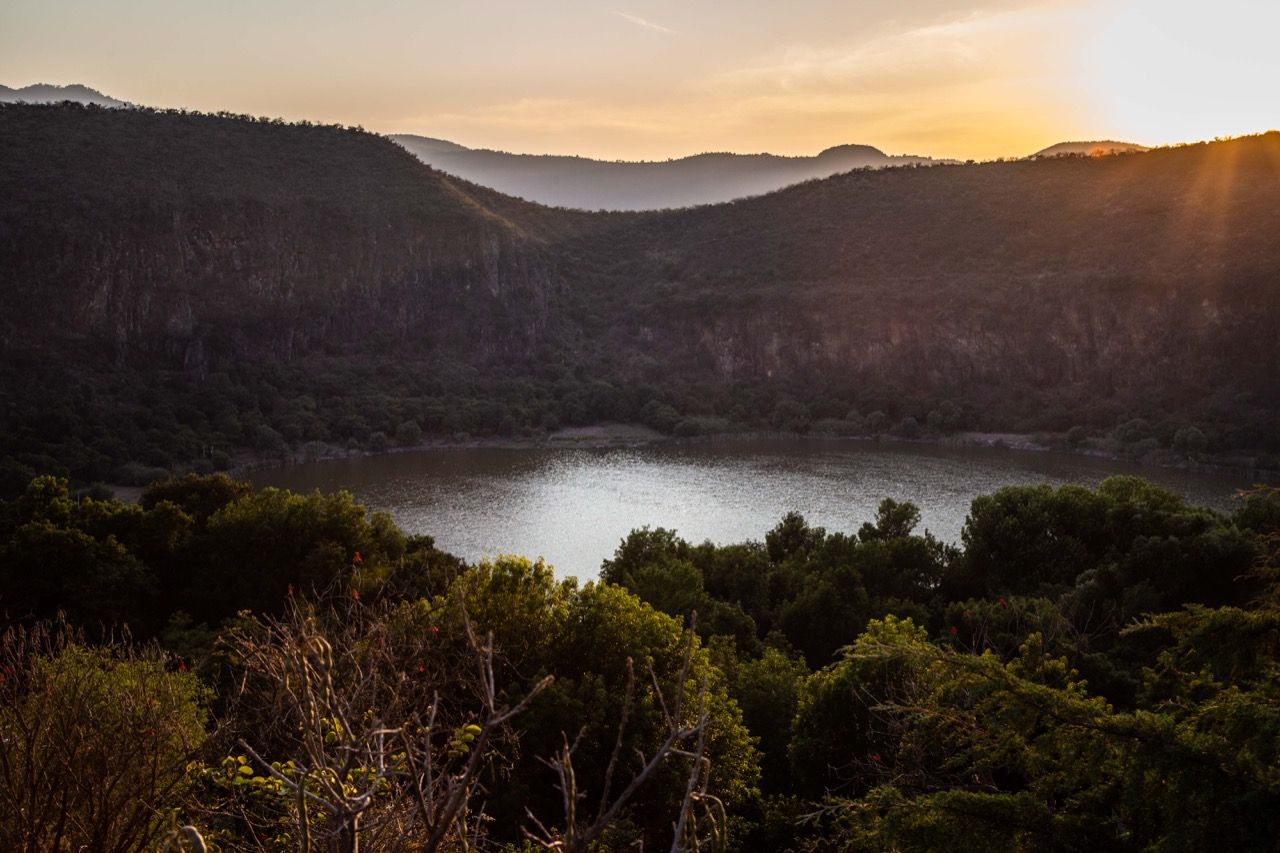  Regresan los recorridos turísticos gratuitos de “Vive tus tenencias”