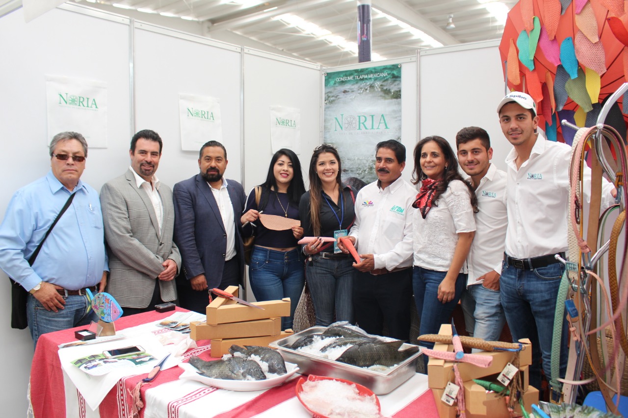  El Innovation Fest 2020, eslabón oficial para dos contiendas internacionales