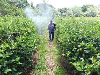  Crece interés en Michoacán por la Agricultura Sustentable