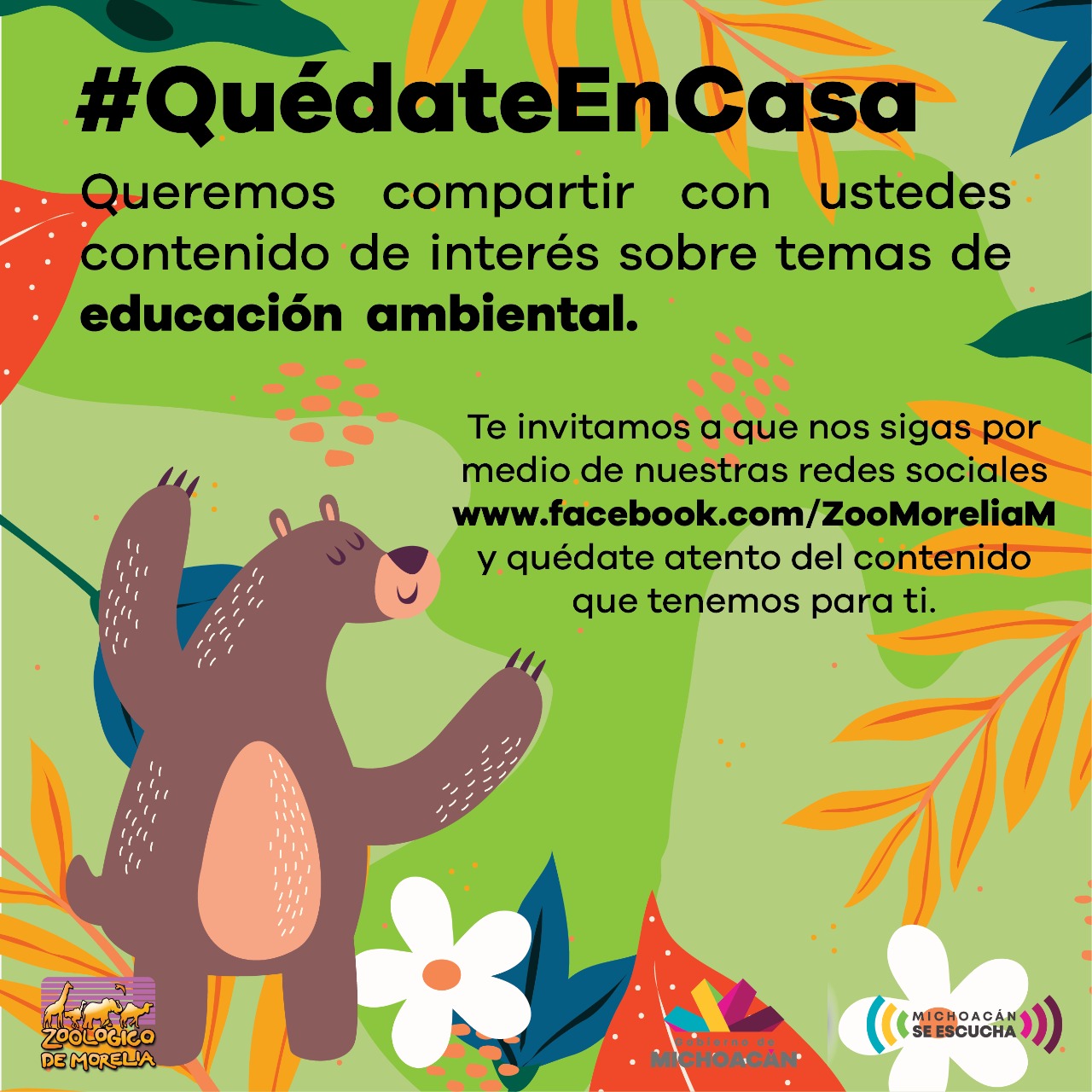  Zoológico de Morelia, prioriza salud de visitantes y fauna