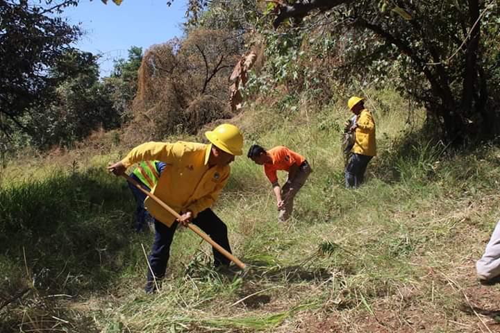  Tacámbaro y Coeneo suman acciones contra incendios forestales